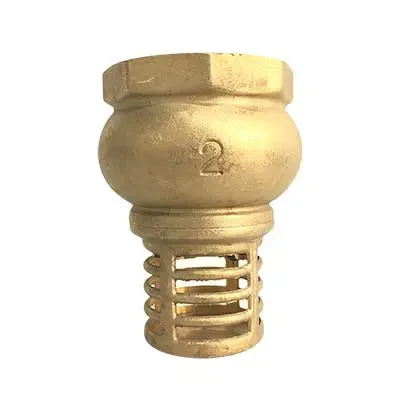 Pichancha Dica  2 " Canastilla de bronce