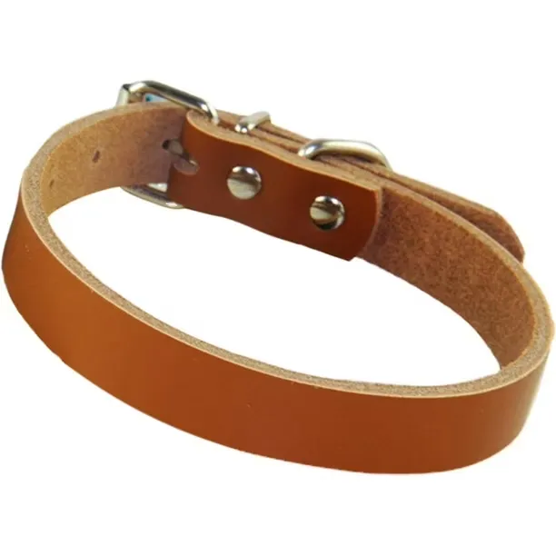 Collar para perro # 1